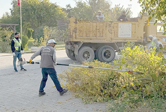 BUDAMA ÇALIŞMALARI BAŞLADI