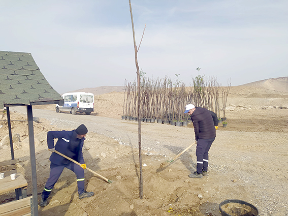 YENİ KENT MEZARLIĞINDA AĞAÇ DİKİM ÇALIŞMASI BAŞLADI
