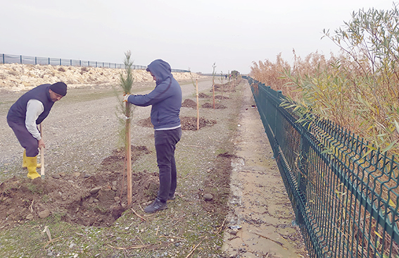 10 KİLOMETRELİK YÜRÜYÜŞ YOLU AĞAÇLANDIRILIYOR