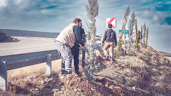 6 BİN 300 FİDAN TOPRAKLA BULUŞTU