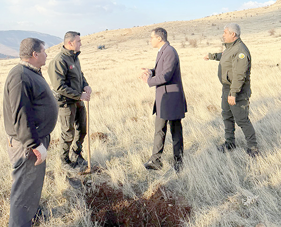 GERCÜŞ’TE 39 BİN 500 FİDAN TOPRAKLA BULUŞTU