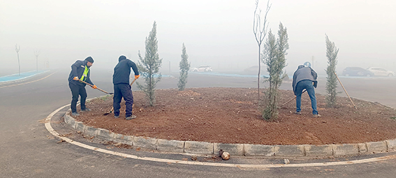 SÜRÜCÜ AKADEMİSİ YEŞİLE BÜRÜNÜYOR