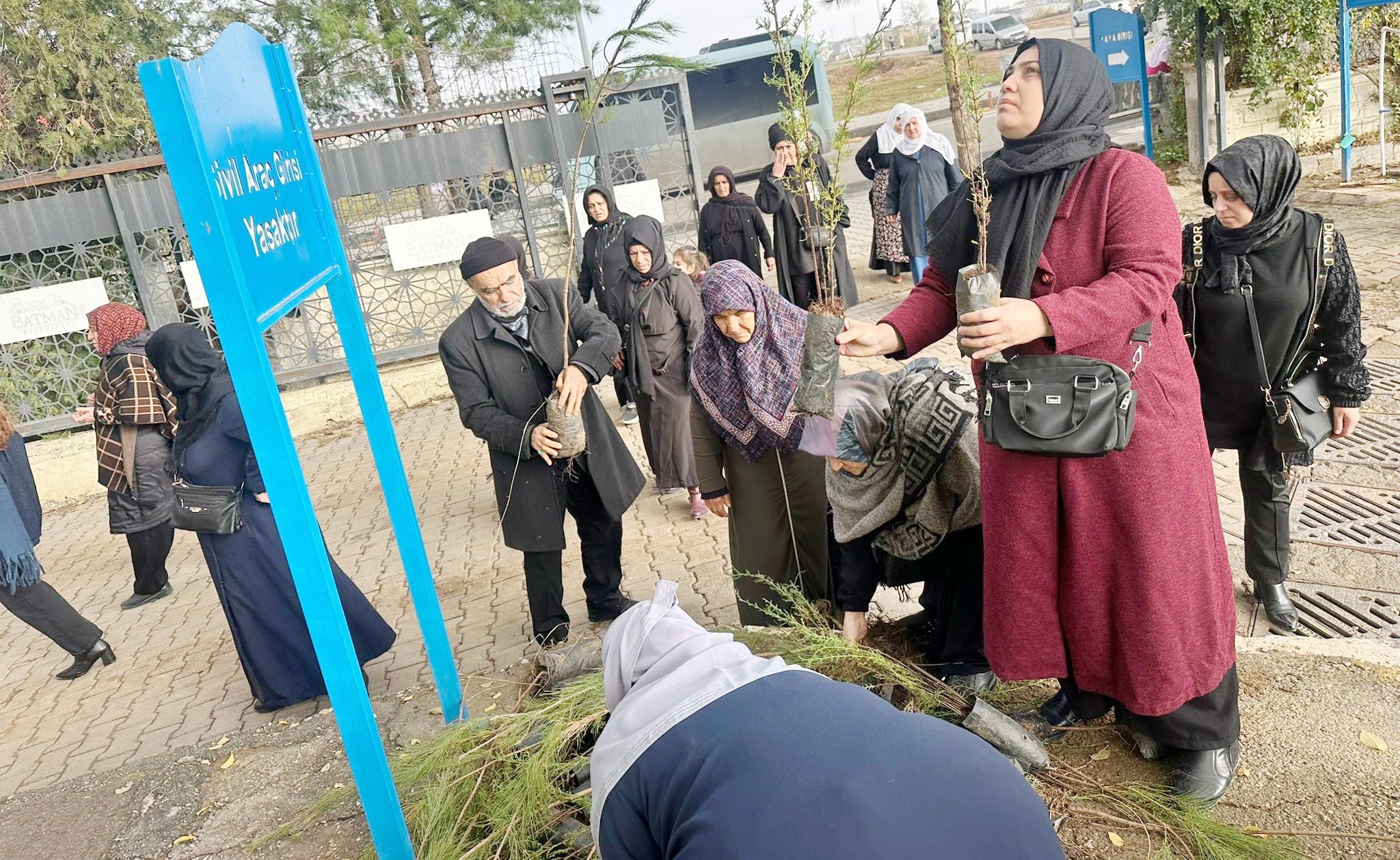 Batman Belediyesinden Ücretsiz Fidan Dağıtımı