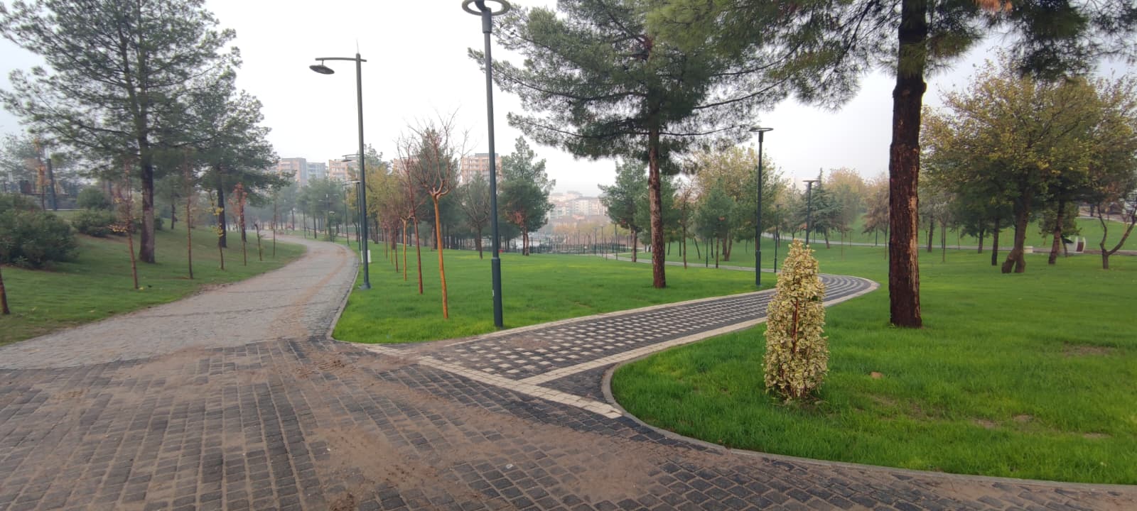 YAŞAR KEMAL KENT PARKI’NDA ÇİMLENDİRME ÇALIŞMALARI SÜRÜYOR