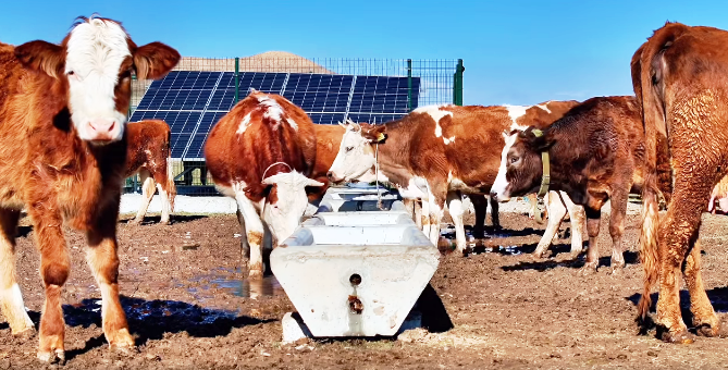 Serçe Parmak Projesi 40 Köye sürdürülebilir su getirdi