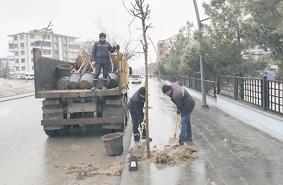 AĞAÇLANDIRMA ÇALIŞMALARINA AĞIRLIK VERİLDİ