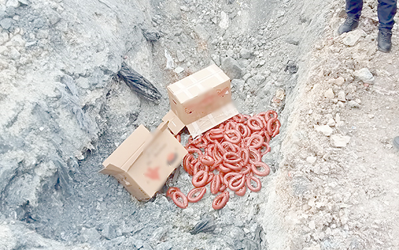 BELEDİYEDEN KAÇAK ET KESİMİNE NEŞTER