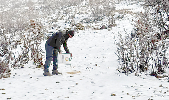 HASANKEYF’TE DOĞAYA YEM DESTEĞİ