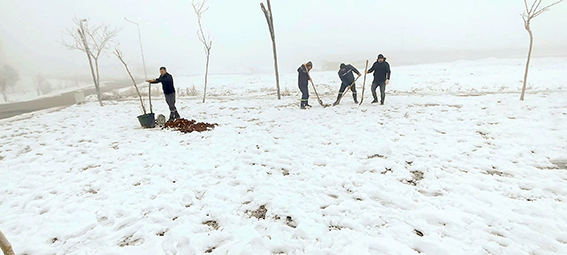 KARDELEN’DE PARK VE REFÜJLERE YENİ AĞAÇ DİKİMİ