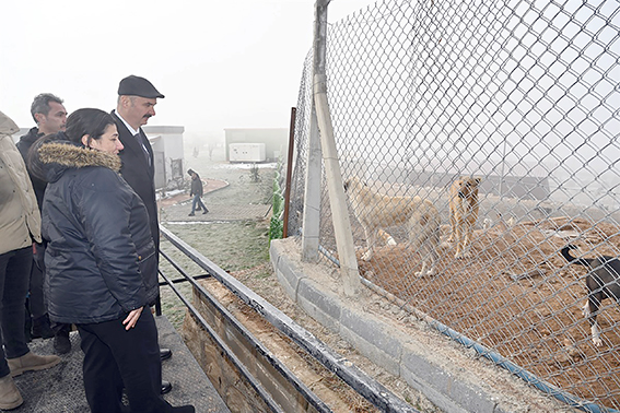 VALİ CANALP’TAN CAN DOSTLARIMIZA ZİYARET