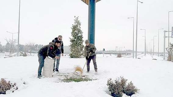 YABAN HAYATINA YEM DESTEĞİ
