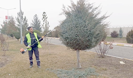 AĞAÇLARA BAHAR FORMU
