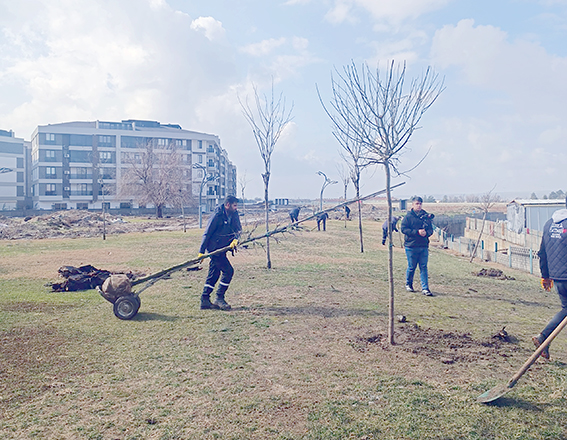 4 BİN 650 YENİ AĞAÇ TOPRAKLA BULUŞUYOR