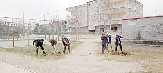 FİDANLAR TOPRAKLA BULUŞUYOR
