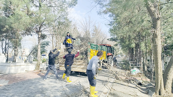 İKİZ TEPE MEZARLIĞI’NDA BUDAMA TAMAMLANDI