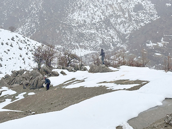 YABAN HAYVANLARI İÇİN DOĞAYA YEM DESTEĞİ