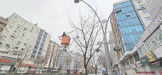 TRAFİĞİ ENGELLEYEN AĞAÇ DALLARI BULANIYOR