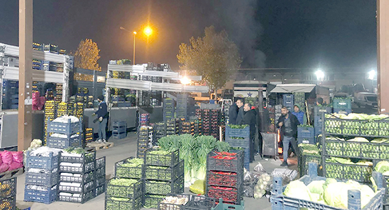 193 BİN TONUN ÜZERİNDE MEYVE VE SEBZE TÜKETİLDİ
