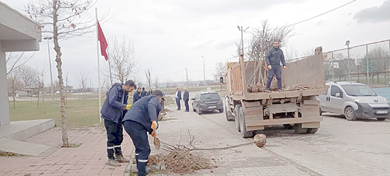 İLK İKİ AYDA 2157 FİDAN TOPRAKLA BULUŞTU