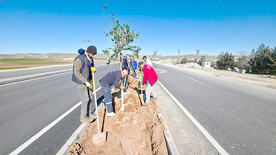 AĞAÇLANDIRMA ÇALIŞMALARI HIZ KESMEDEN SÜRÜYOR