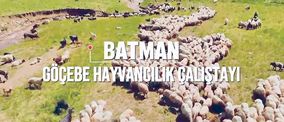 BÖLGESEL GÖÇEBE HAYVANCILIK ÇALIŞTAYI DÜZENLENECEK