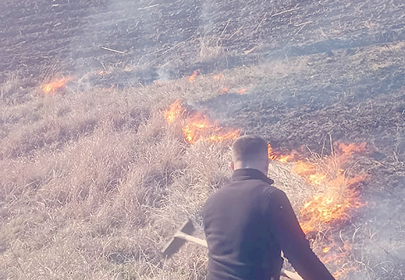 DÜVECİK KÖYÜ’NDE ANIZ YANGININA ELLE MÜDAHALE