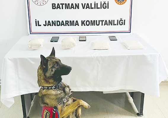 OTOBÜSTE ŞOK BASKIN!