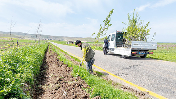 7 KÖY YOLUNA 3 BİN 300 MEYVE FİDANI DİKİLDİ