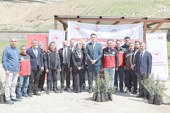 HASANKEYF’TE ZEYTİNCİLİK HIZ KESMEDEN GELİŞİYOR