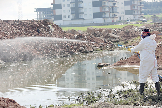 İLAÇLAMA ÇALIŞMALARI ARALIKSIZ SÜRÜYOR