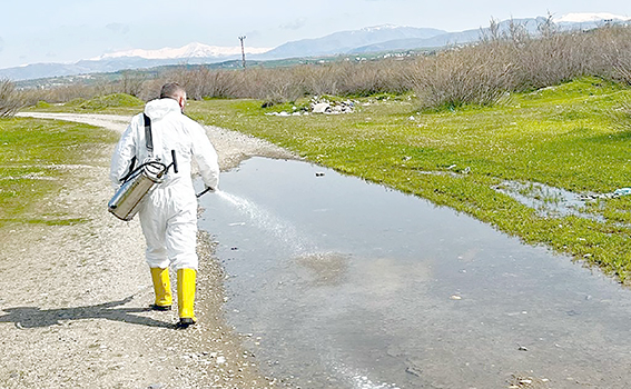 LARVA MÜCADELESİ ÇALIŞMALARI SÜRÜYOR