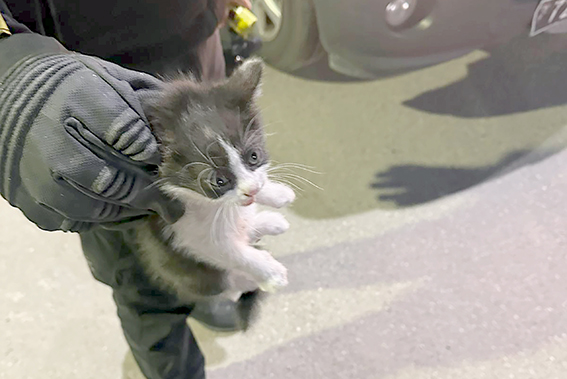 MOTORUN SICAKLIĞINA SIĞINDI, ANNESİNE KAVUŞTU