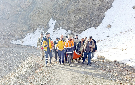HEYELANI AŞTILAR, HAYATA YETİŞTİLER