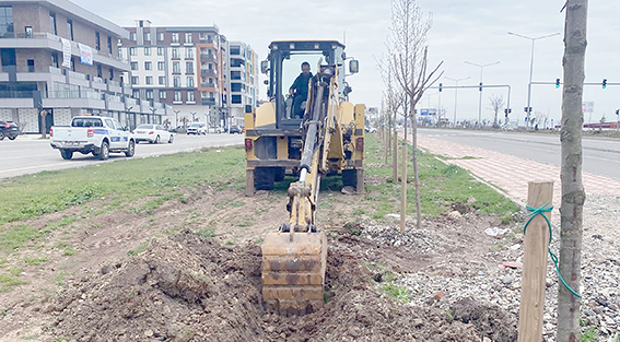 YEŞİL KUŞAK ÇALIŞMALARI HIZ KESMEDEN SÜRÜYOR