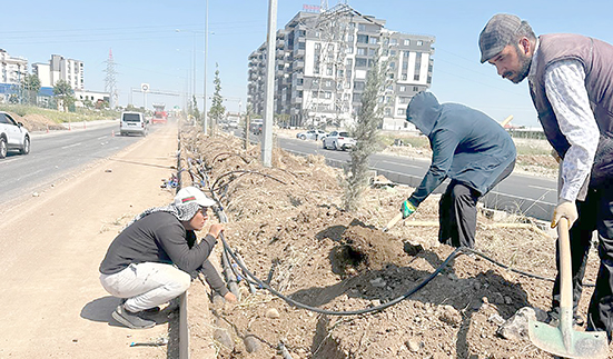 ÇEVRE YOLLARI YEŞİL KUŞAK PROJESİYLE YEŞİLE BÜRÜNÜYOR