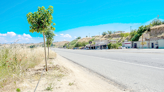 KÖYLÜLERDEN YEŞİL KUŞAK’A GÖNÜLLÜ DESTEK