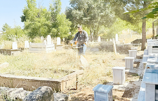 MEZARLIKLARDA KURU OT TEMİZLİĞİ