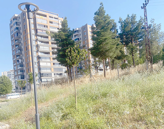 “YAŞAR KEMAL KENT ORMANI KADERİNE TERK EDİLMEMELİ”