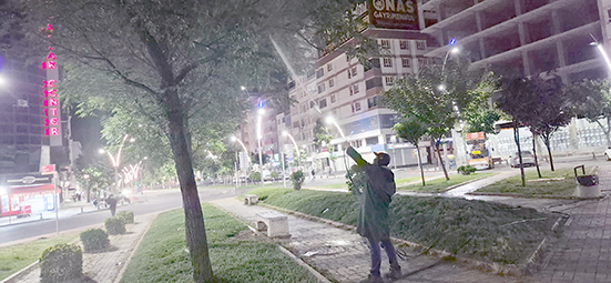 PARK VE YEŞİL ALANLARDA İLAÇLAMA ÇALIŞMALARI YOĞUNLAŞTIRILDI
