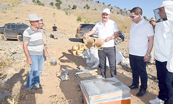 HELKIS DAĞI’NDA ŞİFA HASADI