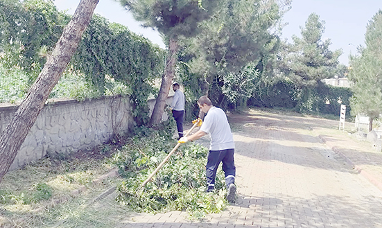 MEZARLIKLARDA OT BİÇME VE BAKIM ÇALIŞMASI