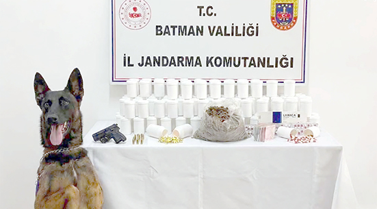 10 BİNİN ÜZERİNDE UYUŞTURUCU HAP ELE GEÇİRİLDİ