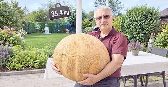 ALMANYA’DA BATMANLI VATANDAŞTAN 35,4 KİLOLUK KABAK
