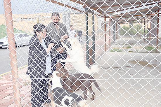 AYTEN CANALP, BAKIM ALTINDAKİ HAYVANLARI ZİYARET ETTİ