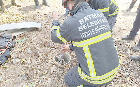 KÜLTÜR’DE YAVRU KEDİ İÇİN KURTARMA OPERASYONU