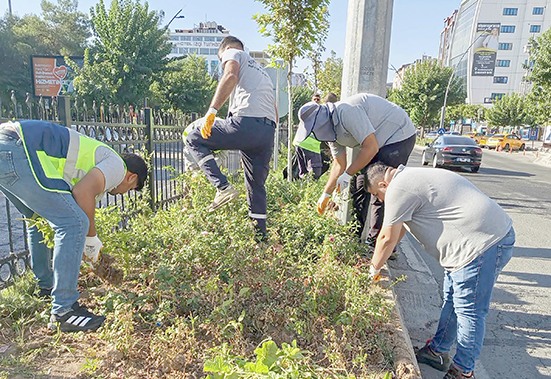 REFÜJ VE BULVARLARDA SONBAHAR BAKIMI SÜRÜYOR